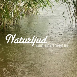 Rogivande regn utanför fönster