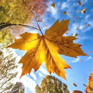 Осенний звон (Песня осени)