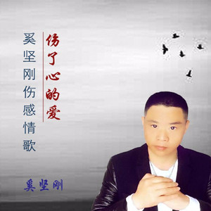 容易受伤的男人 (KTV版)