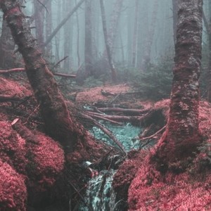 雾 (prod. Furyl, 4_Chords)