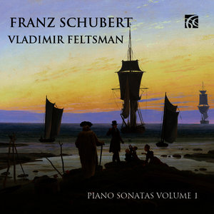 Vladimir Feltsman - Sonata in A Minor, D 537: I. Allegro ma non troppo