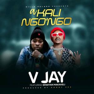 Akalingongo (feat. Spartan Makaveli)