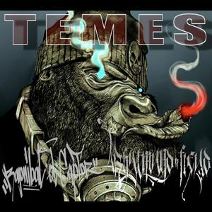 Temes (feat. Sr Amargo) (Explicit)
