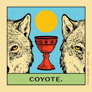 Coyote