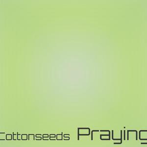 Cottonseeds Praying