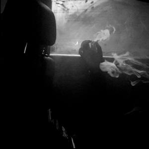 Arab - sorry, not sorry