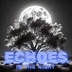 Echoes in the Night