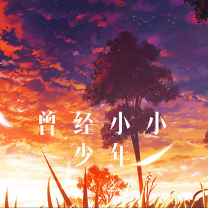 不撞南墙不回头 (DJ版)