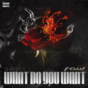 What do you Want(feat. Rockwell)