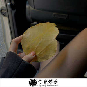 不得不爱