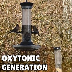 Oxytonic Generation (demo)