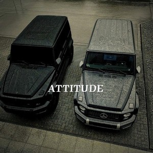 ATTITUDE