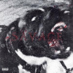 Savage (Explicit)