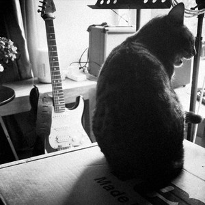 猫和水煮鱼 - 人间久别 (Demo)