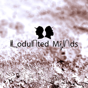 Startbeat Zum Warmwerden (Schulz Audio Endless Regression)