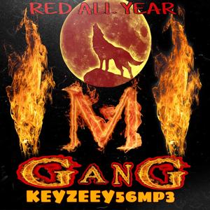 BEFORE I GO (feat. Killa Banks) (Explicit)