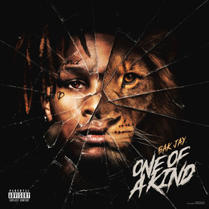 BAK Jay - F What You Heard (feat. BloodHound Q50) (Explicit)