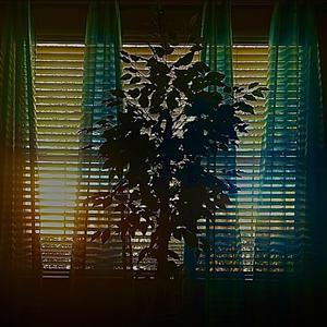 i wish i could change