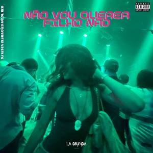 Não Vou Querer Filho Não (Explicit)