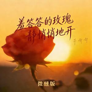 羞答答的玫瑰静悄悄地开 (微醺版)封面