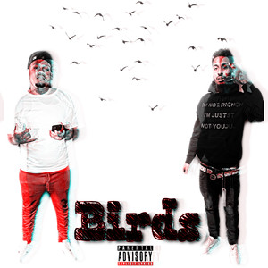 Birds (Explicit)