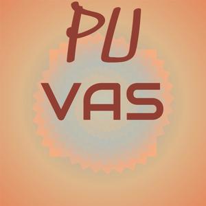 Pu Vas