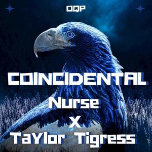 Coincidental (feat. Taylor Tigress) [Explicit]