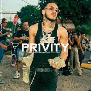 Privity (Instrumental de Trap Hard, Type Beats Trap Freestyle 2024)