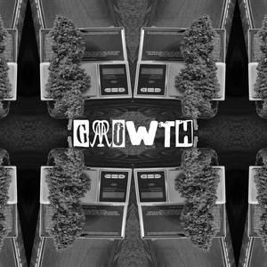 Growth (Explicit)