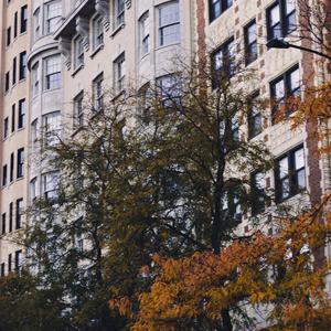 Morning Light (Explicit)