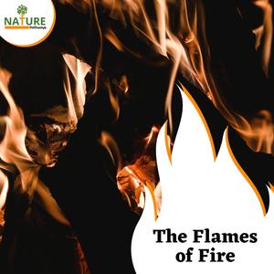 Monday Morning Snow Shower