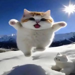 snow cat specials (Explicit)