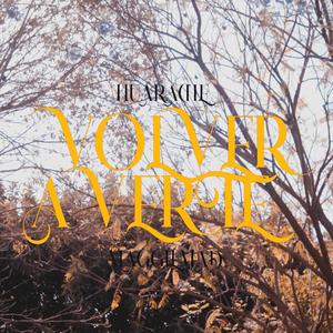 Volver a verte (feat. maggiemad) (Explicit)