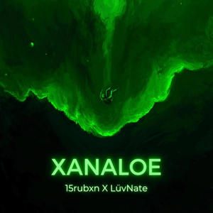 Xanaloe (feat. 15rubxn) [Explicit]