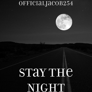 Stay the Night (Explicit)