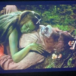 thesebirds (Explicit)