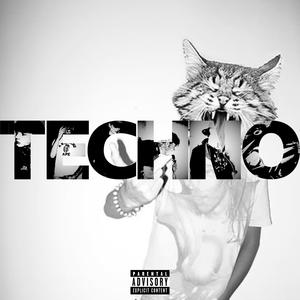 techno (feat. BiggieB & Scarfly) (Explicit)