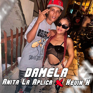 DAMELA (Explicit)