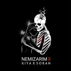 Nemizarim 2