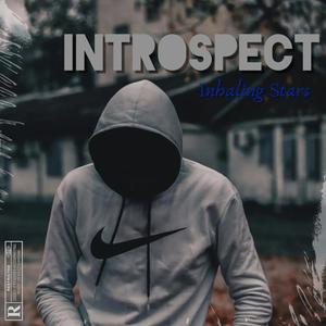 Introspect (Explicit)