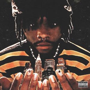 HOLLUP (Explicit)