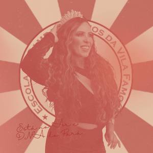 Está no Ar e Dna do Pará