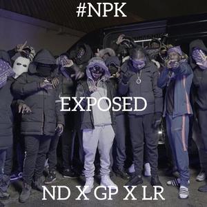 Exposed (feat. ND, GP NPK & LR) [Explicit]