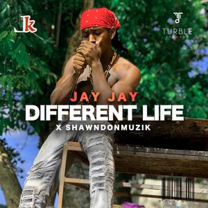 Different Life (feat. Jay Jay Level Boss)