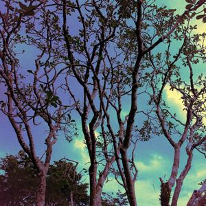 Azure Tears (feat. SERAPHINE NOIR)