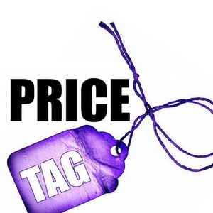 Price Tag (伴奏)