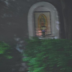 La compañera (Explicit)