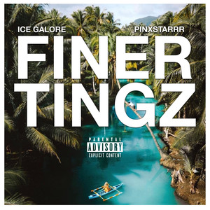 FINER TINGZ (Explicit)