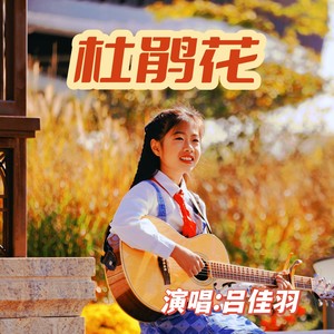 杜鹃花 (伴奏)