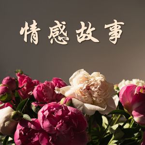 情感故事 - 动人心的钢琴和小提琴音乐合集，为你心灵的古典音乐，非常舒缓的慢歌